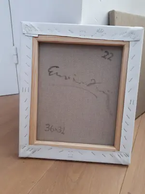 Erwin van Krey - Dedector kopen? Bied vanaf 350!