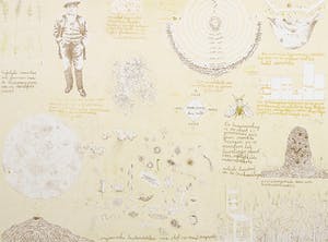 Theo Kley - Litho, Organische bestanddelen [...] kopen? Bied vanaf 1!