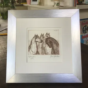 Noël Matthijs - 4 paarden kopen? Bied vanaf 1!