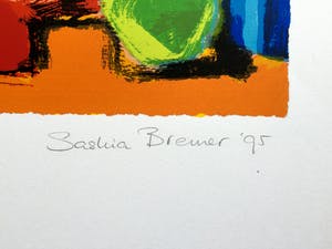 Saskia Bremer - Surprise kopen? Bied vanaf 45!