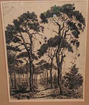 Suze de Lint - Eigendruk ets kopen? Bied vanaf 29!