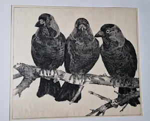 Willem Abraham Wassenaar - monochrome jaren 30 lithografie "3 kauwen op tak" potloodgesigneerd kopen? Bied vanaf 34!