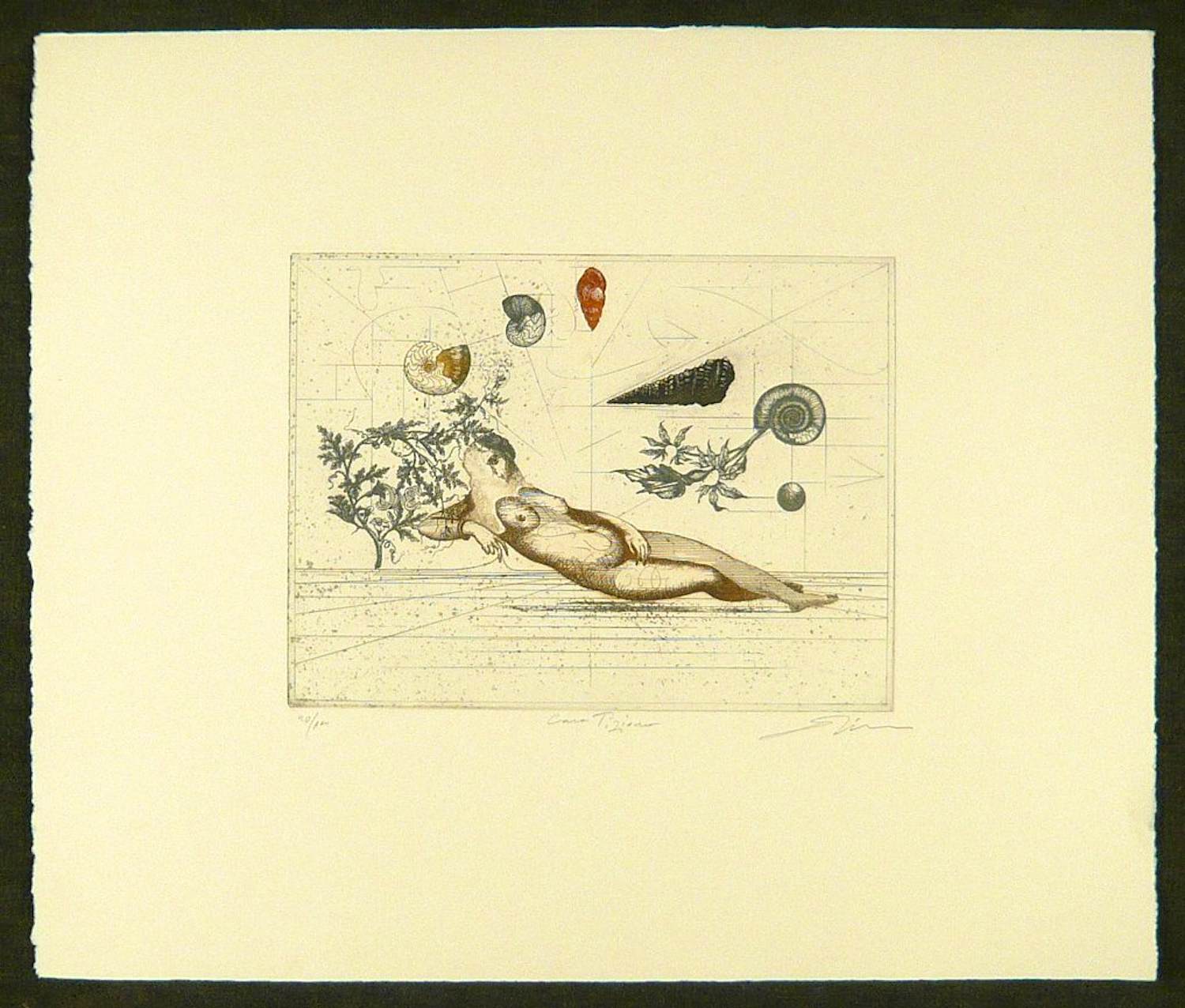 Dan Erceanu - Tiziano. kopen? Bied vanaf 49!