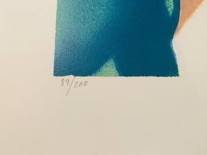 Freddy Defossez - Hauts de Mougins kopen? Bied vanaf 15!