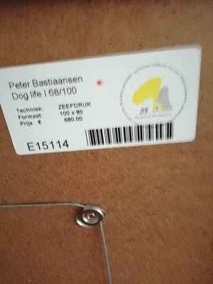 Peter Bastiaanssen - "dog life" groot werk kopen? Bied vanaf 90!