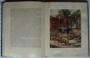 Curiosa - 7 Plaatjesalbums , Verkade (5x), Douwe Egberts (1x), Haust (1x) – (1925-1950) kopen? Bied vanaf 1!