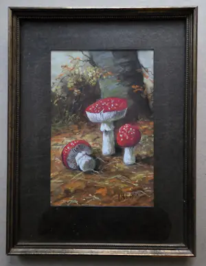 Henriette Hubregtse-Lanzing - Paddestoelen. Vliegenzwammen. kopen? Bied vanaf 89!