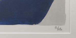 Piet Warffemius - kleurenzeefdruk - 1999 (INGELIJST) kopen? Bied vanaf 80!