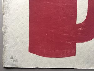 Klaas Gubbels - grote houtdruk 'Rode kan met groene kopjes ’ - 2003 - oplage 55 kopen? Bied vanaf 425!