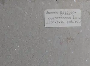 Jeanne Bieruma Oosting - Overstroomd land kopen? Bied vanaf 1!