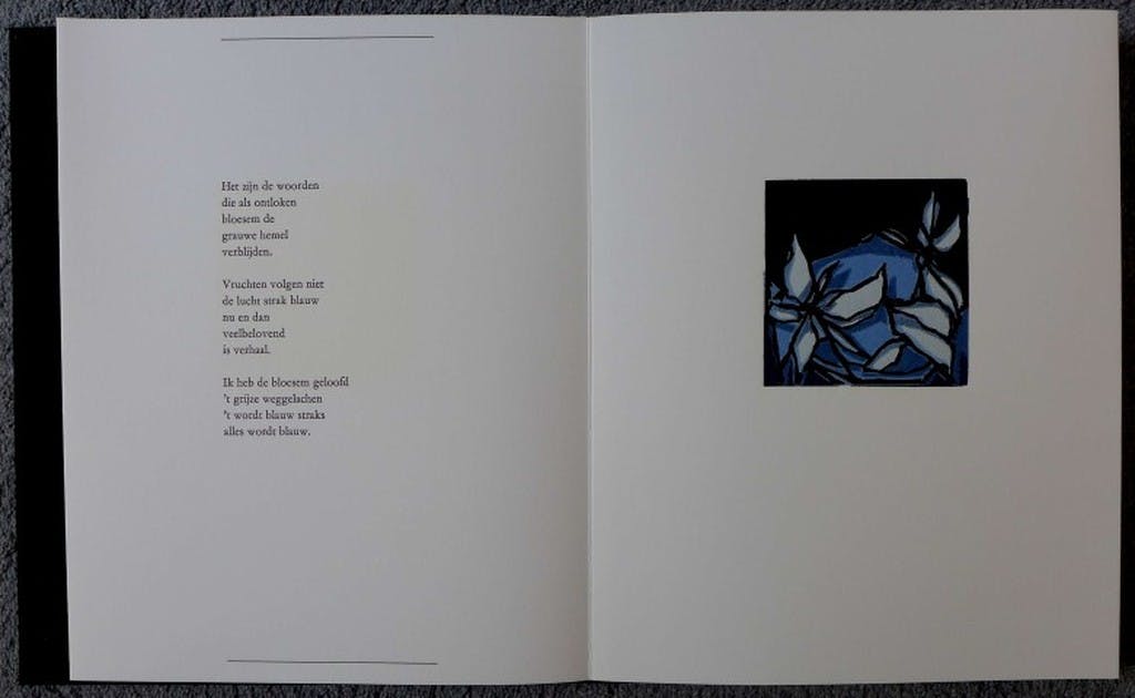 Fon Klement - 'Zwartwit in en achter kleuren', zeven boardsneden van Fon Klement kopen? Bied vanaf 250!