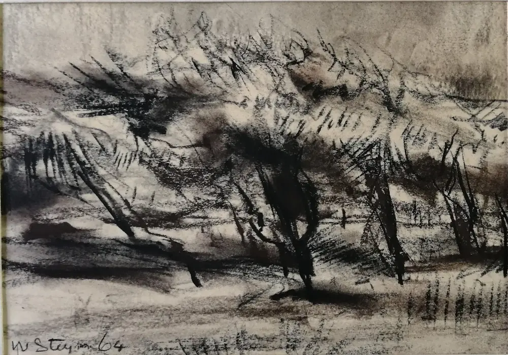 Wim Steijn (1914-1980)