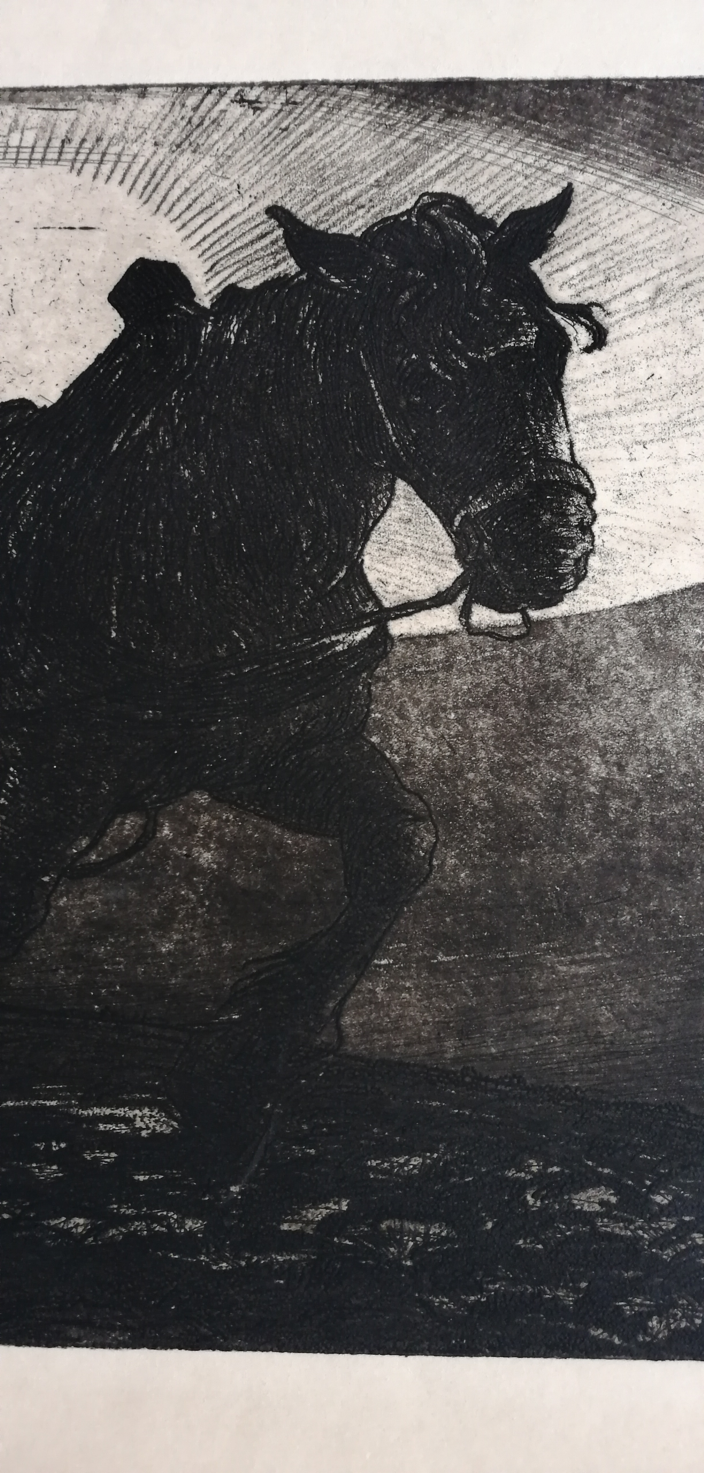 Jac. J. Koeman - Ploegpaard kopen? Bied vanaf 35!