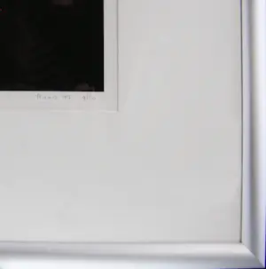 Bert Houweling - Roos 43 kopen? Bied vanaf 15!