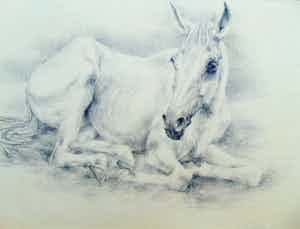 Piet Klaasse - Rustend paard verkocht voor € 55!