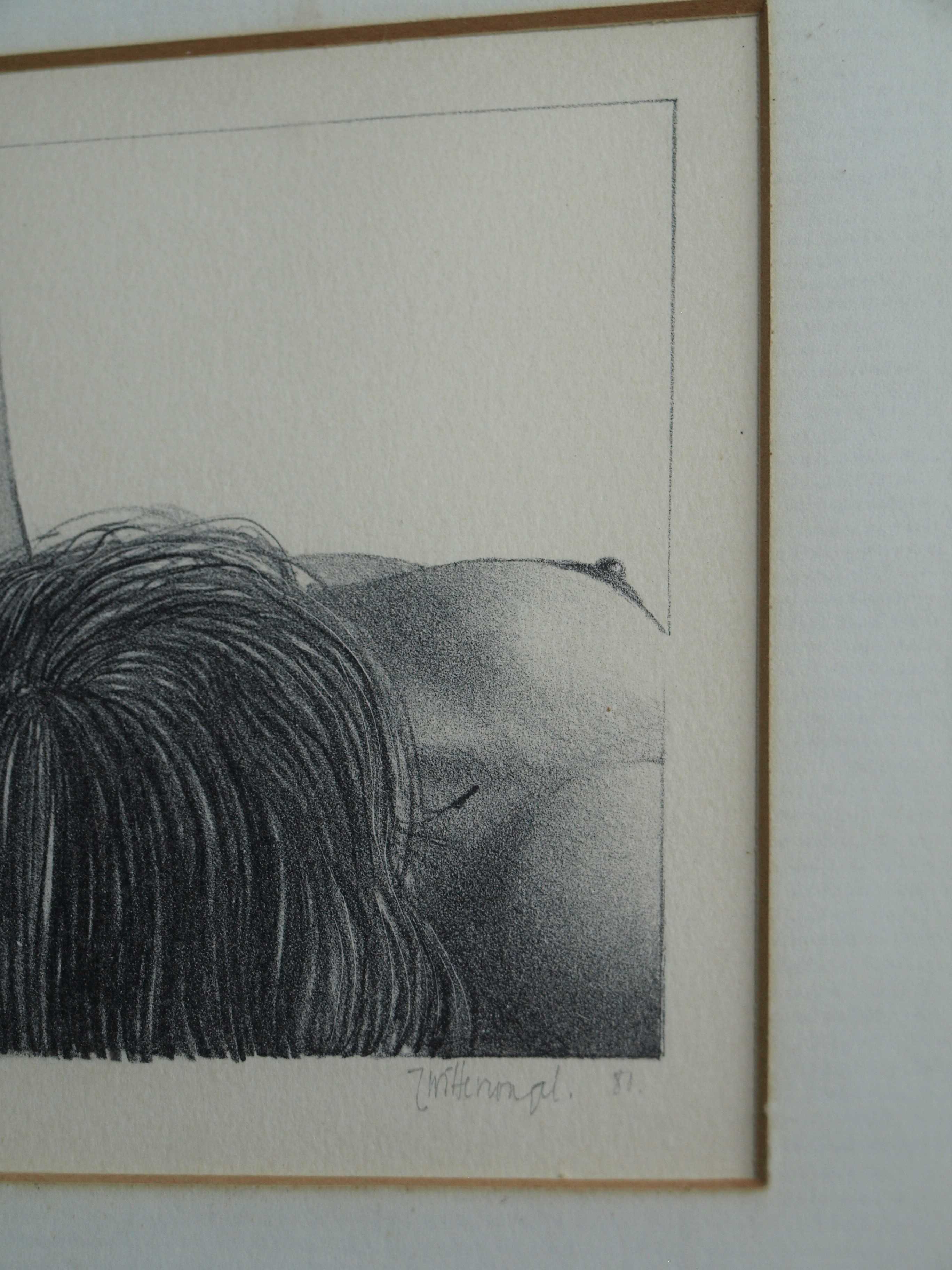 Niet of onleesbaar gesigneerd - Litho, Naakte vrouw – gesigneerd & ingelijst – nr 1/20 - 1981 kopen? Bied vanaf 1!