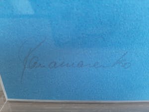 Panamarenko - Flying Tiger - Litho in plexibox - handgesigneerd ea exemplaar kopen? Bied vanaf 950!