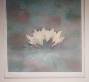 Hans Geernaert - Waterlelie. kopen? Bied vanaf 39!