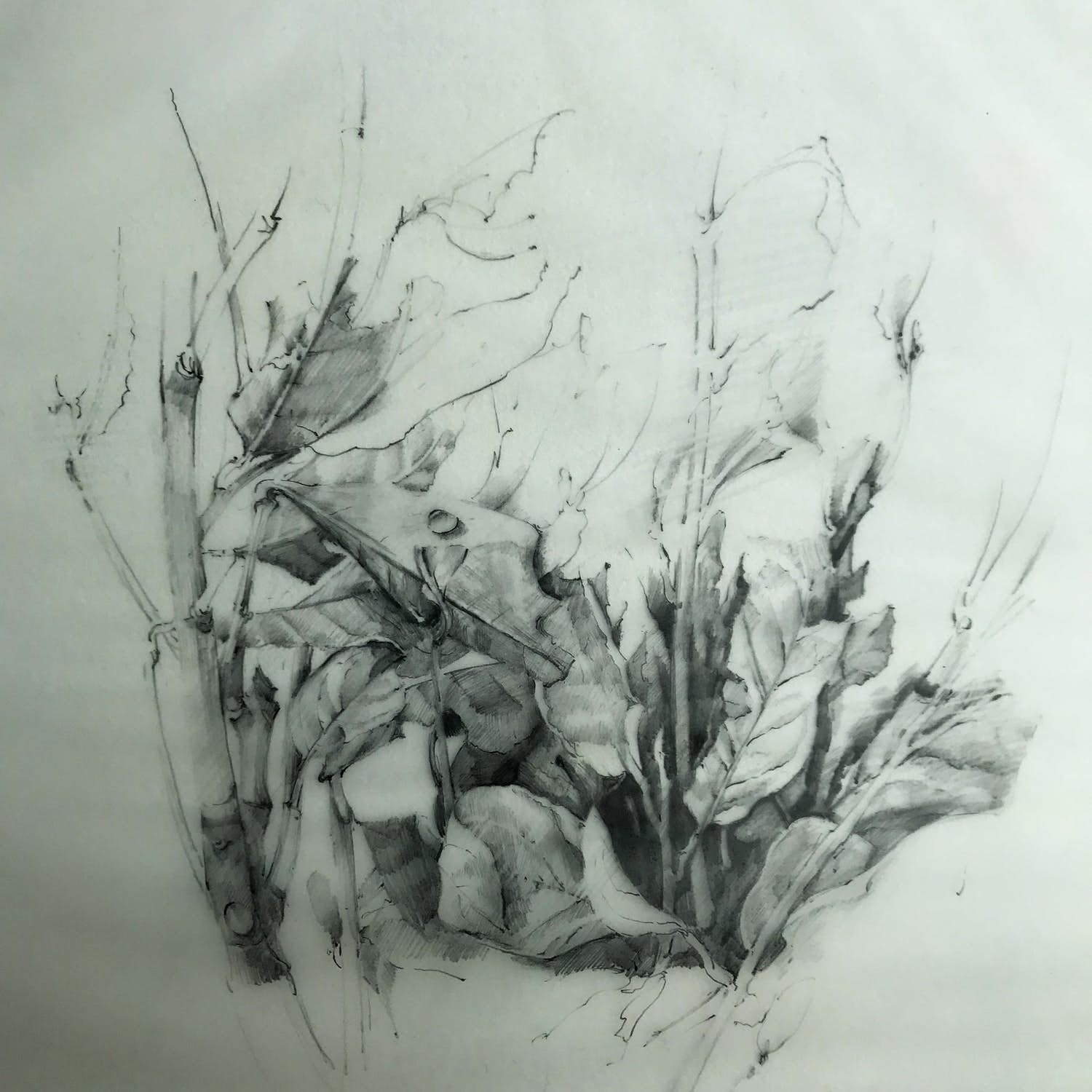 Hiroshi Asada - Prachtige gesigneerde ets verkocht voor € 45!