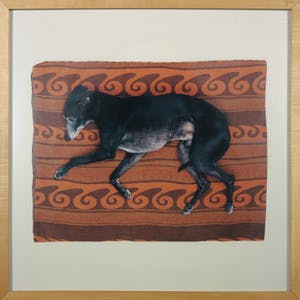 Maarten Wetsema - Foto, Rik op kleed - Ingelijst kopen? Bied vanaf 1!