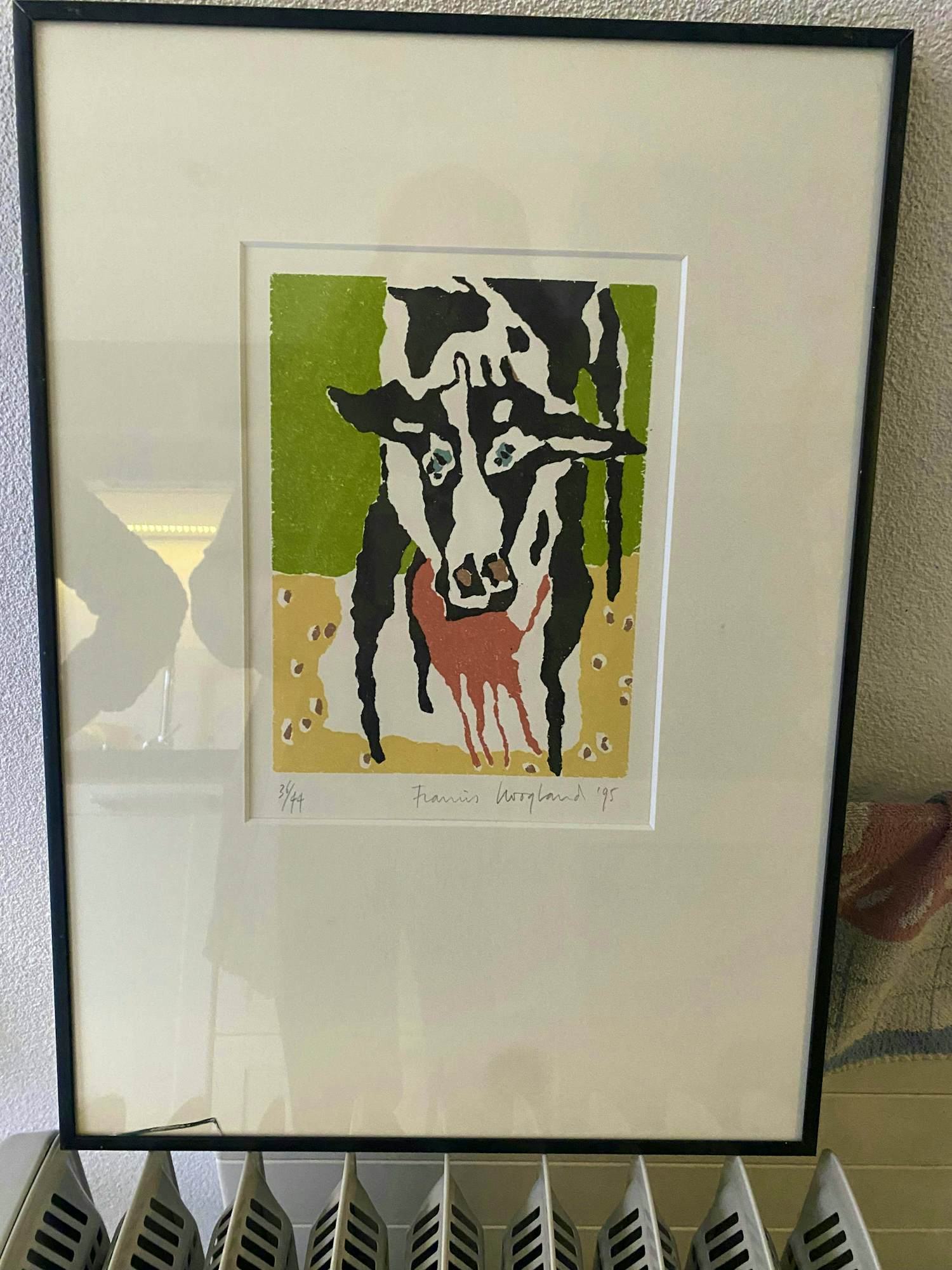 Francis Hoogland - 3-luik Koeien kopen? Bied vanaf 200!