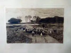 Anton Mauve (sr.) - herder met schapen verkauft für € 40!