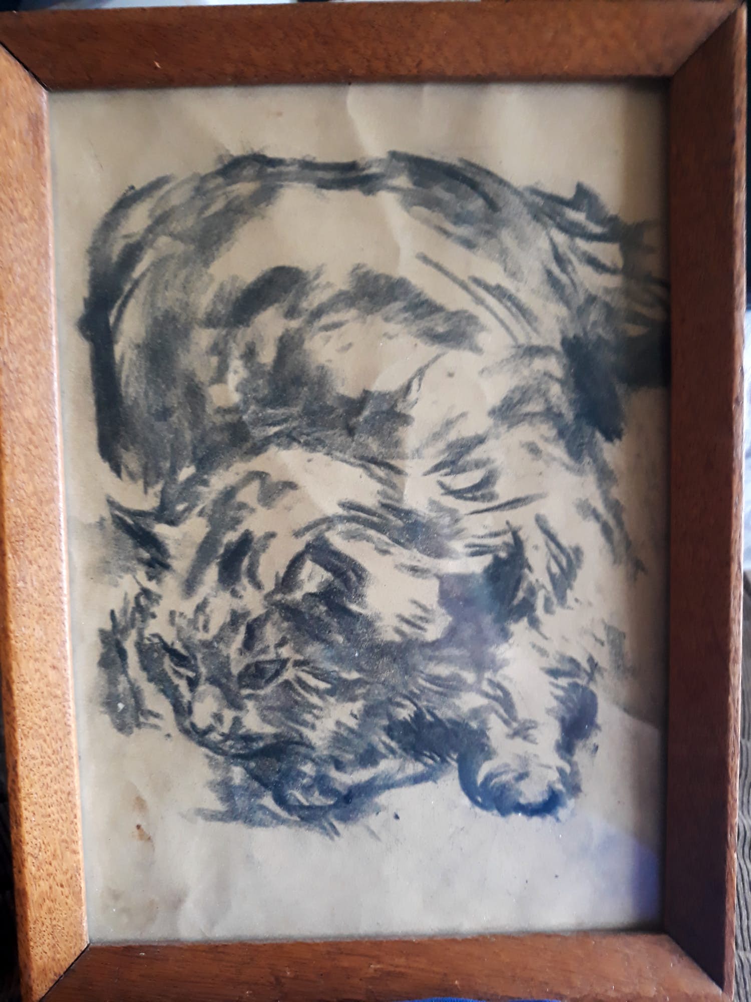 Johannes Elsinga - Rustende poes kopen? Bied vanaf 1!