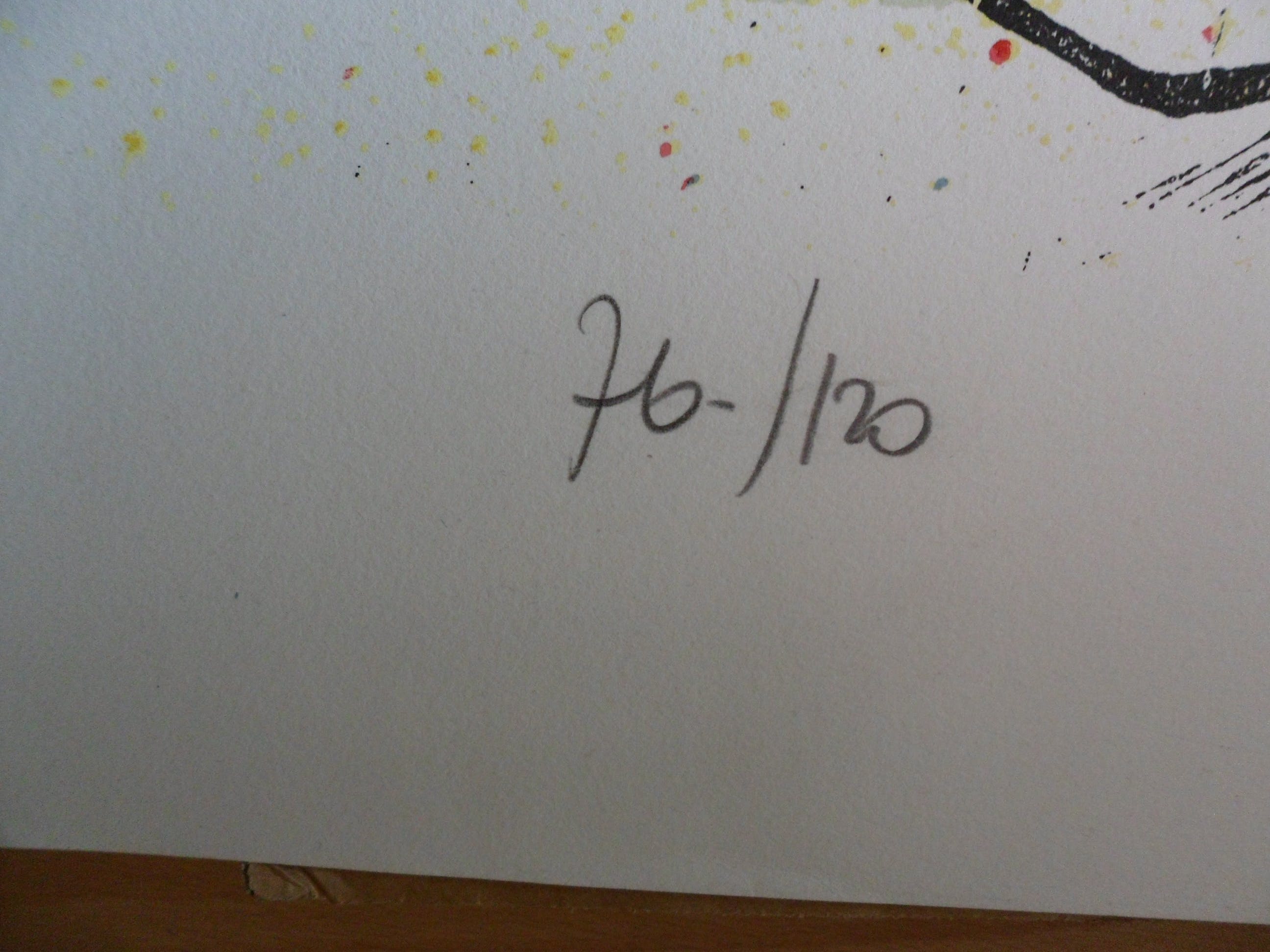 Nic Jonk - Zeefdruk, "Pacific Ocean 1" . kopen? Bied vanaf 80!