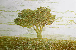 Eduard Flor - Fraaie handgekleurde diepdruk/reliëf Ets - kleine oplage (60) - potloodgesignrd kopen? Bied vanaf 47!