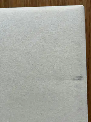 Jan van Munster - UITGAVE MET PYROGRAFIEËN. kopen? Bied vanaf 150!
