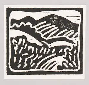 Janus Nuiten - Lino, Lot van 40 lino's kopen? Bied vanaf 100!