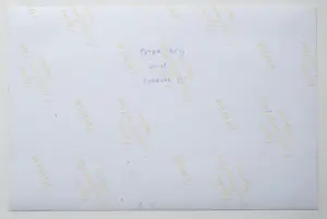 Peter Heij - Redbuds 1&2, (2) Gemengde techniek-acryl op foto kopen? Bied vanaf 75!