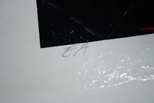 Arturo - 2 grote zeefdrukken kopen? Bied vanaf 60!