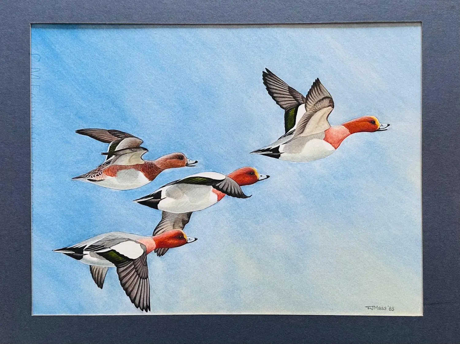 Frits-Jan Maas (1958)