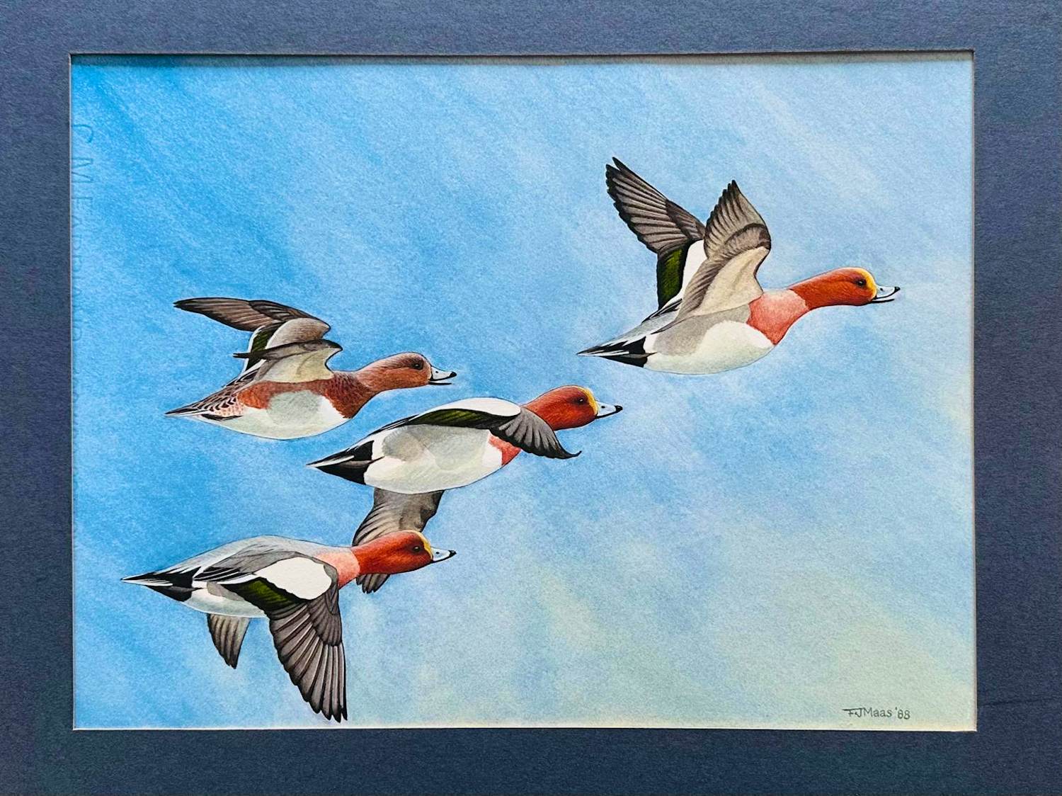 Frits-Jan Maas - Aquarel van eenden kopen? Bied vanaf 49!