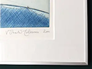 Ronald Tolman - Koorddanser en vogel kopen? Bied vanaf 95!