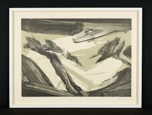 Robert Zandvliet - Exklusives Set : Signierte Litho (gerahmt) & Signiertes Buch kopen? Bied vanaf 890!