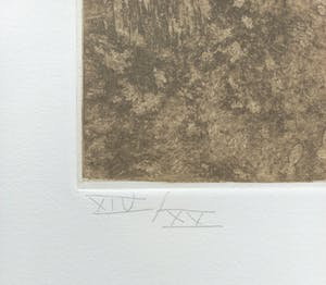 Jan Montyn - Exodus, Radierung / Aquatinta kopen? Bied vanaf 115!