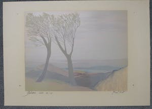 Fred Koot - Fred Koot, litho, titel Yadava. oplage 23/48 beeldformaat 34.7 x 44.3 cm. kopen? Bied vanaf 50!