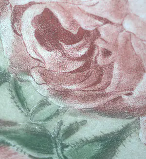 Pierre-Joseph Redoute - litho Rozen kopen? Bied vanaf 35!