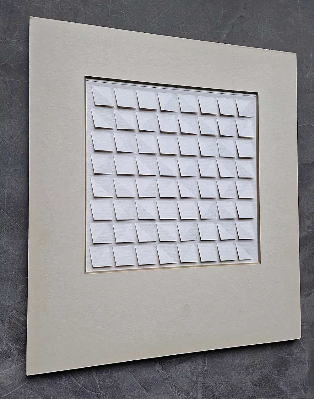 Henk van der Plas (1936-2009)