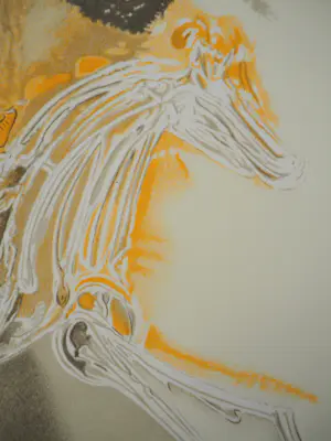 Salvador Dali - Paarden, Pegasus, Lithografie kopen? Bied vanaf 120!