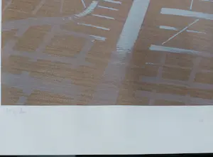 Jeroen Henneman - Land in vogelvlucht kopen? Bied vanaf 80!