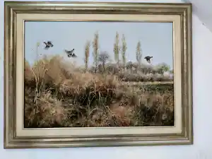 Pieter Verstappen - patrijzen verkocht voor € 200!