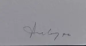 JCJ VANDERHEYDEN - Zonder titel kopen? Bied vanaf 345!