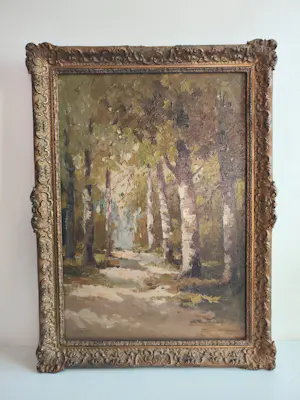 Cor Noltee - Het Zonnige Berkenpad kopen? Bied vanaf 90!