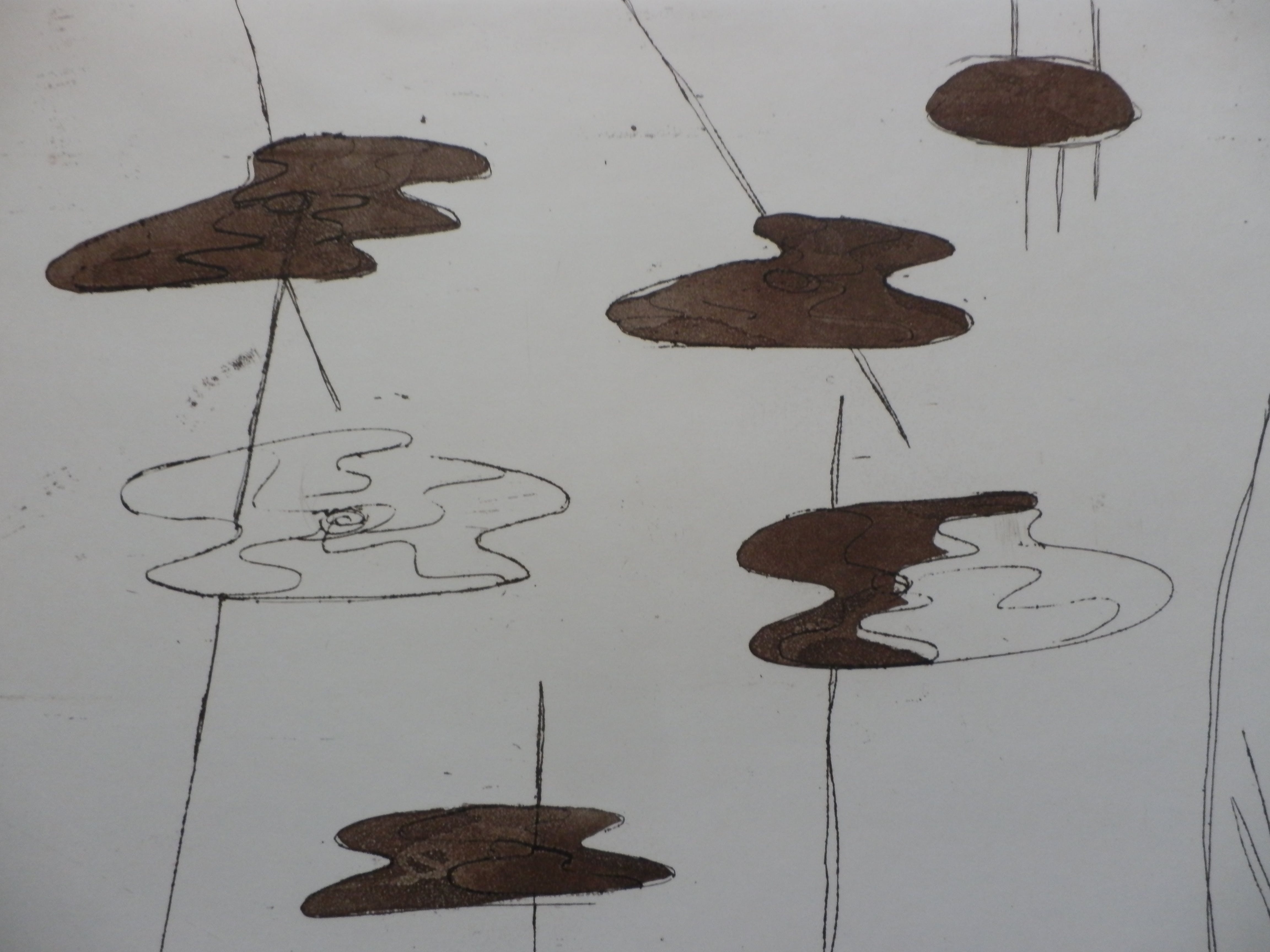 Lily Derksen - ETS: WATERLELIES Handgesigneerd SLECHTS 25EX!!! kopen? Bied vanaf 35!