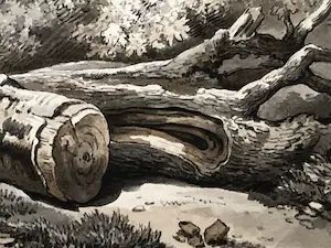 Harry Heijer - Gevelde boom, sepia kopen? Bied vanaf 60!