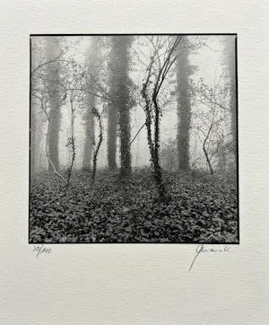 Ralph Janowski - 2x zeefdruk kopen? Bied vanaf 32!