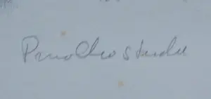 Dirkje Kuik - Litho: Pinokkio kopen? Bied vanaf 59!